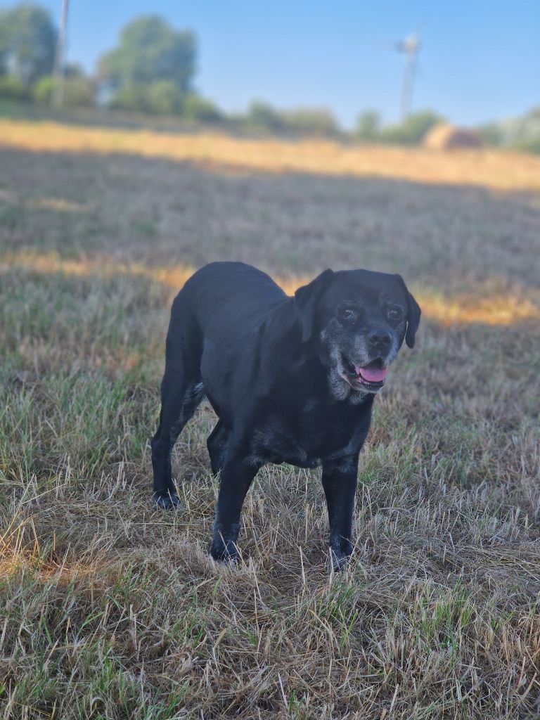 TR. Izzy Du domaine d'orloup